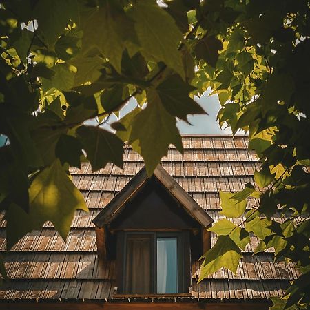 Guesthouse Pashko Theth Exterior foto